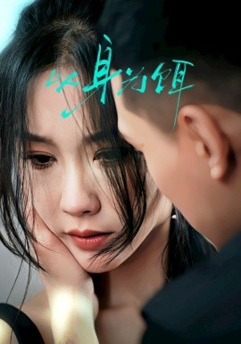 以身为饵（31集）王慧龙＆李瑾 (2025)-米创网