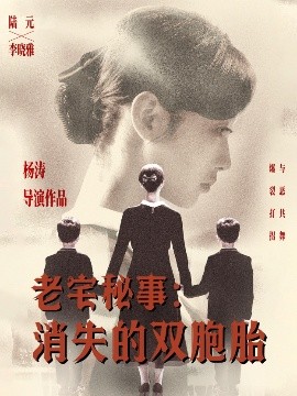 老宅秘事：消失的双胞胎＆消失的孩子（90集）陆元 (2025)-米创网