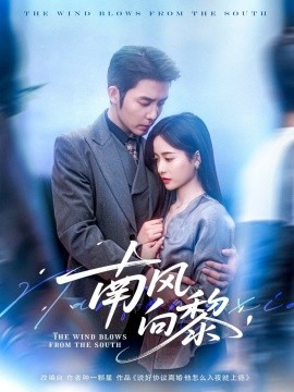 南风向黎（80集）张凝慈&王晨鹏 (2025)-米创网
