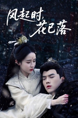 风起时，花已落（49集）王蔼玲 (2025)-米创网