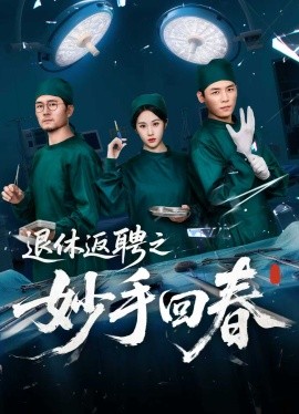 退休返聘之妙手回春（60集）朱文玉 (2025)-米创网