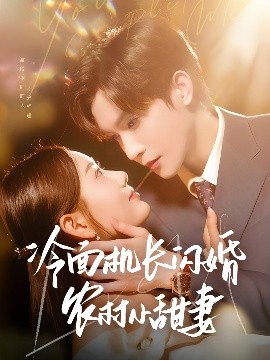 冷面机长闪婚农村小甜妻（73集）林世杰＆赵佳欣 (2025)-米创网