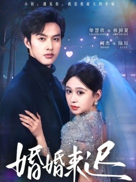 婚婚来迟（86集）柴慧欣&闵杰 (2025)-米创网