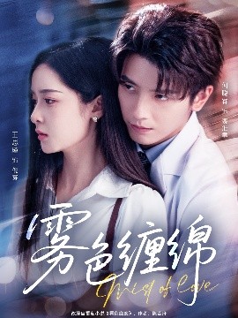 雾色缠绵（90集）何聪睿&王思瑾 (2025)-米创网