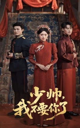少帅，我不要你了（60集）沈国洋（清河）＆陈墁柯 (2025)-米创网