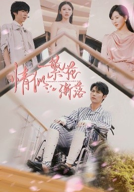 情似繁花渐落（62集）李明源&顾沅真 (2025)-米创网