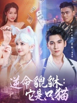逆命貔貅：它是只猫（35集）姜将 (2025)-米创网