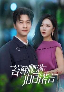 苔藓爬满旧日诺言（83集）王鹏＆钟莹玲 (2025)-米创网