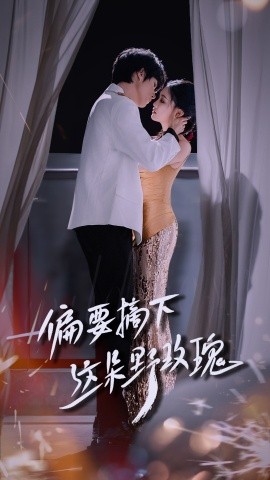 偏要摘下这朵野玫瑰（60集）燕颢元＆张亚迪 (2025)-米创网
