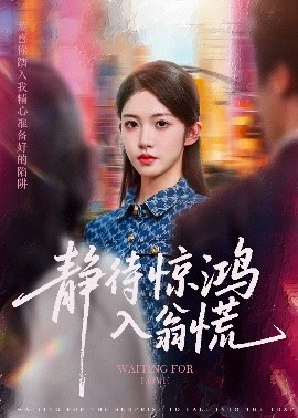 静待惊鸿入翁慌（40集）陈雷雷&吴毅非 (2025)-米创网