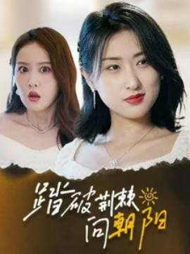 踏破荆棘向朝阳（80集）(2025)-米创网