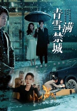 青雪满禁城（51集）陈聿修＆刘亚倩 (2025)-米创网