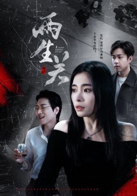 两生关（40集）张晓楠 (2025)-米创网