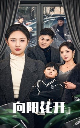 向阳花开&溺爱的代价（40集）李媛菁&李明 (2025)-米创网