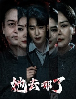 她去哪了（56集）林初 (2025)-米创网