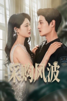 采购风波（45集）刘方为&王熳熳 (2025)-米创网