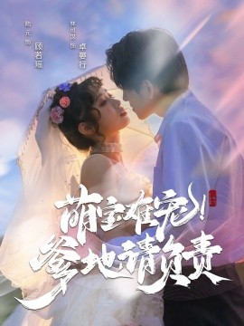 萌宝难宠！爹地请负责（80集）林可汉＆陆元 (2025)-米创网