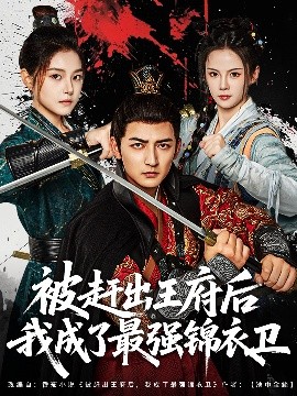 被赶出王府后我成了最强锦衣卫（80集）杜江山&一然 (2025)-米创网