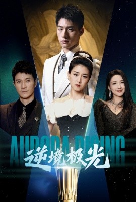 逆境极光（30集）杨晓婷 (2025)-米创网
