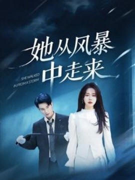 她从风暴中走来（60集）孙博文＆路文卓 (2025)-米创网