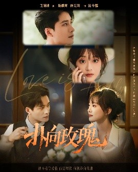 扑向玫瑰（77集）王皓祯&侯呈玥 (2025)-米创网