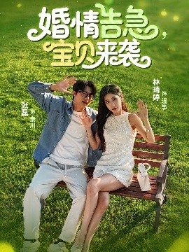 婚情告急宝贝来袭（77集）张磊&林琦婷 (2025)-米创网