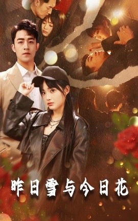 昨日雪与今日花（81集）刘月涛&张紫璇&安晓洁 (2025)-米创网