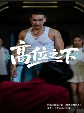 高位之下（65集）张家嘉&赵龙 (2025)-米创网