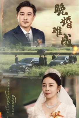 晚婚难成（60集）孔智盈&路思奇 (2025)-米创网