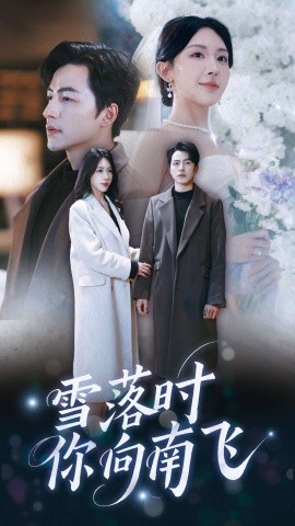 雪落时你向南飞（34集）吴昊＆房蕾 (2025)-米创网