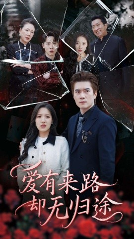 爱有来路却无归途（40集）(2025)-米创网