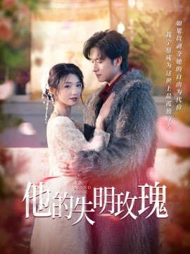 他的失明玫瑰（70集）王彬茗&陈明 (2025)-米创网