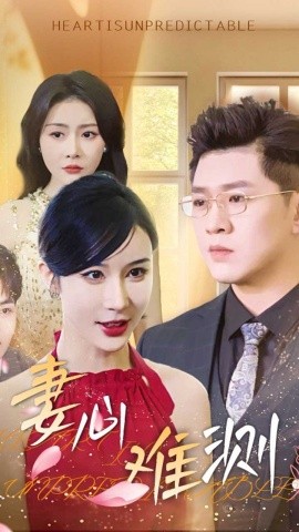 妻心难测（33集）林彤 (2025)-米创网