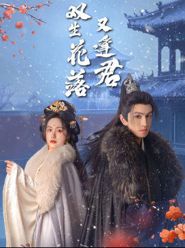 双生花落又逢君（66集）林可汉＆白雪茹 (2025)-米创网