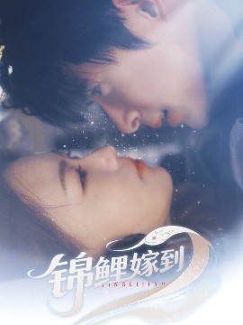 锦鲤嫁到（67集）贾舒宁 (2025)-米创网