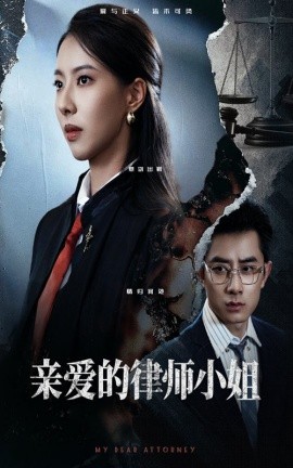 亲爱的律师小姐（50集）孙昊&苏嘉欣 (2025)-米创网