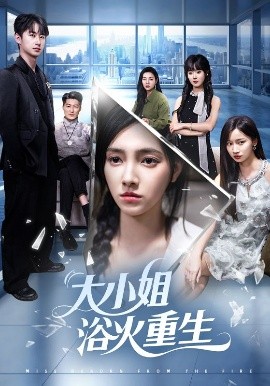 大小姐浴火重生（64集）樊楚琦&刘凡&张亚宁 (2025)-米创网