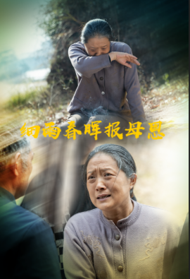 细雨春晖报母恩（30集）周婷&夏家顺 (2025)-米创网
