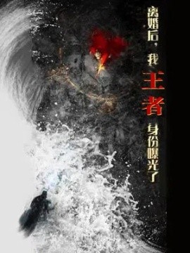 离婚后，我王者身份曝光了（80集）廖芯&杨泽琳 (2025)-米创网