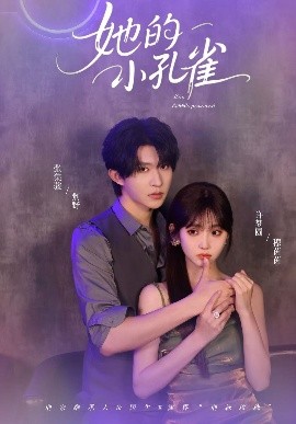 她的小孔雀（40集）张集骏&许梦圆 (2025)-米创网
