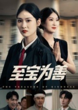 至宝为善（60集）丁语乔&宁浩然 (2025)-米创网