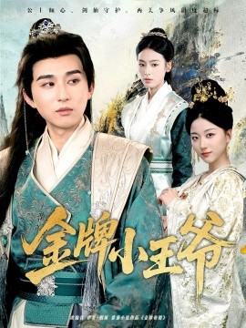 金牌小王爷（80集）潘非佯&李文瑞 (2025)-米创网