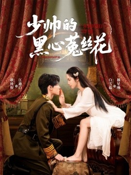 少帅的黑心菟丝花（60集）耿致忻＆白雪茹 (2025)-米创网