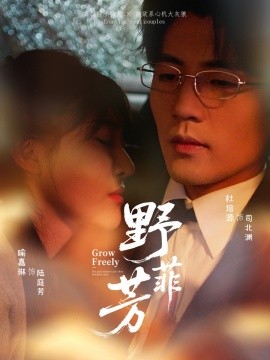 野芳菲（60集）喻嘉琳＆杜培源 (2025)-米创网
