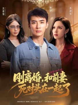 刚离婚，和前妻死对头在一起 (73集) (2025)-米创网