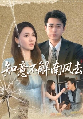 知意不解南风去（90集）林子晴&白家宁 (2025)-米创网