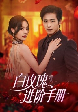 白玫瑰进阶手册（64集）古铭瀚＆赵西 (2025)-米创网