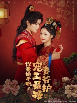你惹她干嘛，宠妻王爷最护短（74集）谢鸿鑫＆羽翎 (2025)-米创网