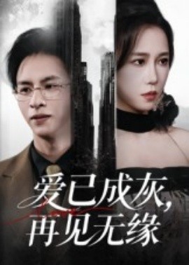 爱已成灰，再见无缘（72集）惠一秋 (2025)-米创网