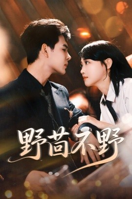 野茴不野（67集）靳旺＆龚芳妮 (2025)-米创网
